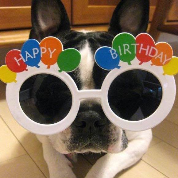 Meet your Posher, Erin - Picture 1 of 1